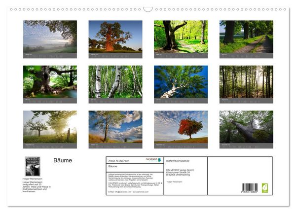 Produktbild: B&auml;ume (Wandkalender 2026 DIN A2 quer), CALVENDO Monatskalender