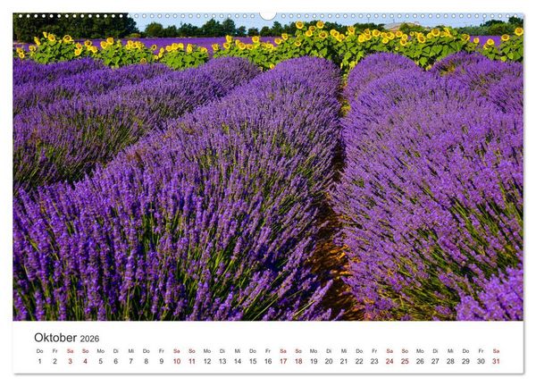 Produktbild: Tr&auml;ume aus Lavendel, Provence in Rosa bis Lila (hochwertiger Premium Wandkalender 2026 DIN A2 quer), Kunstdruck in Hochglanz