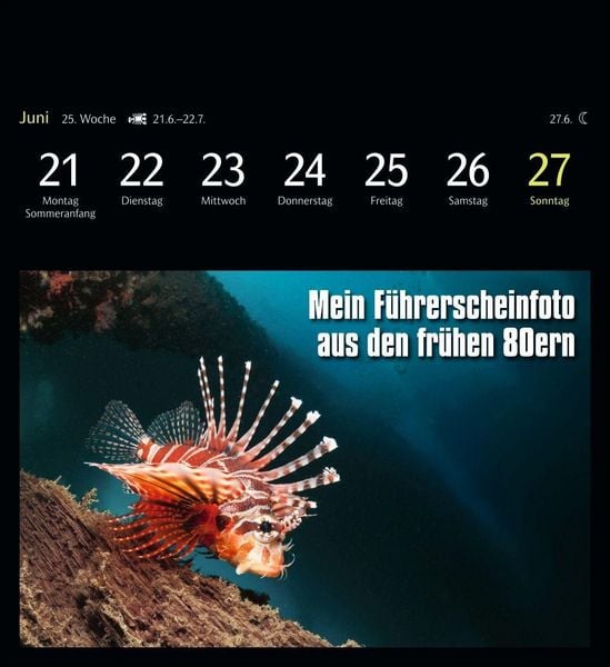 Produktbild: Animal Memes Postkartenkalender 2027 - 53 tierisch witzige Postkarten