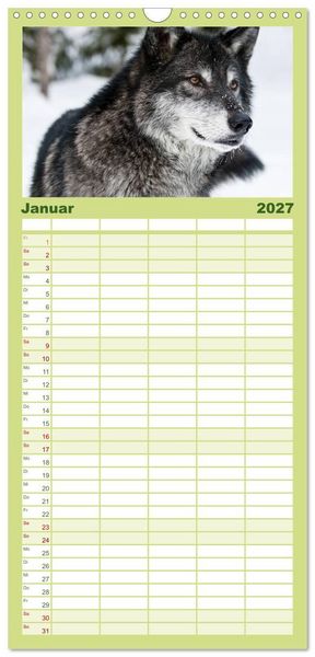 Produktbild: Familienplaner 2027 - W&ouml;lfe. Verwegene Anmut mit 5 Spalten (Wandkalender, 21 x 45 cm) CALVENDO