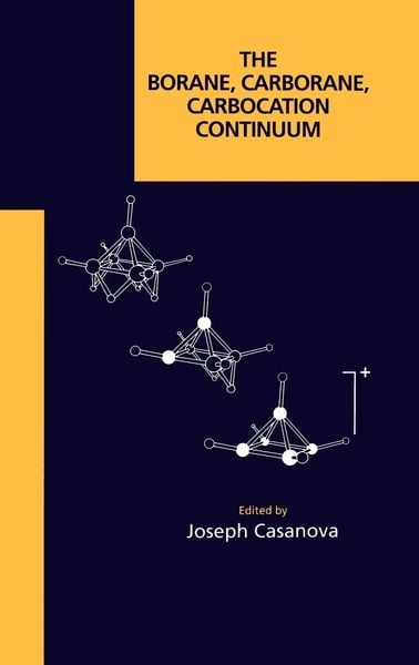 Produktbild: The Borane, Carborane, Carbocation Continuum