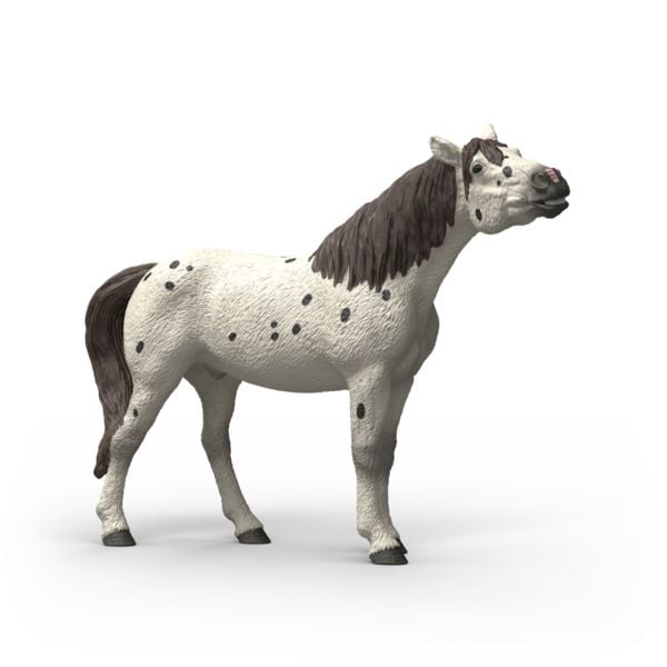 schleich 14916 - Horse Club, Knabstrupper Wallach, Tierfigur