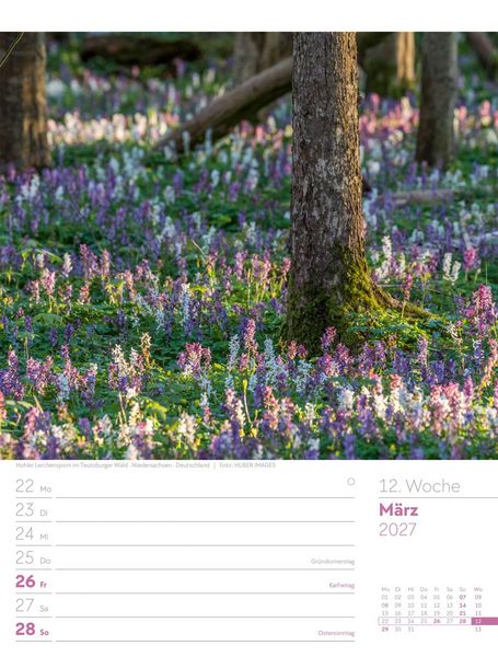 Produktbild: Unser Wald Wochenplaner Kalender 2027