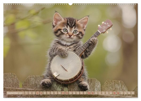 Produktbild: Miau-sikalische Momente (hochwertiger Premium Wandkalender 2027 DIN A2 quer), Kunstdruck in Hochglanz