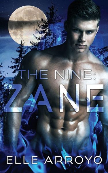 Produktbild: The Nine