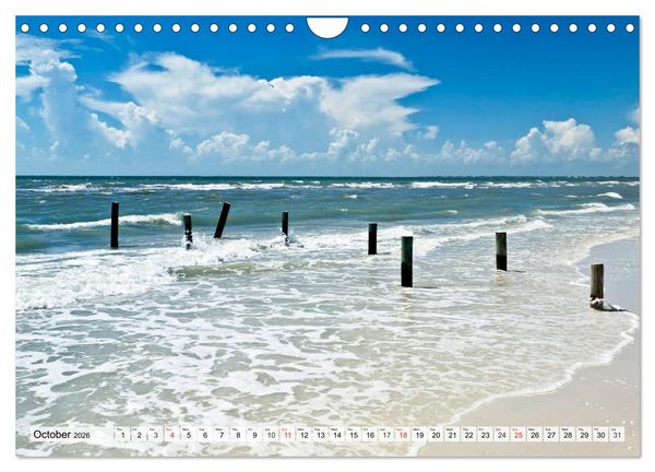 Produktbild: FLORIDA The Sunshine State (Wall Calendar 2026 DIN A4 landscape), CALVENDO 12 Month Wall Calendar