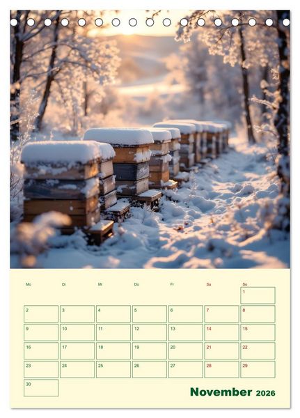 Produktbild: Bienenblick &ndash; Ein Jahr mit den Bienen (Tischkalender 2026 DIN A5 hoch), CALVENDO Monatskalender