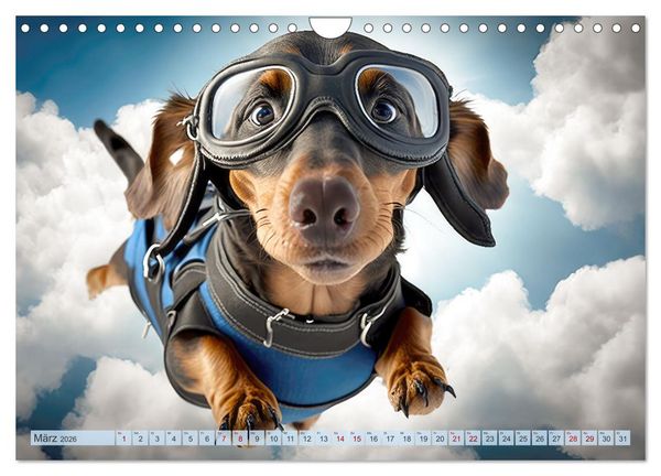 Produktbild: Hunde Skydiving (Wandkalender 2026 DIN A4 quer), CALVENDO Monatskalender
