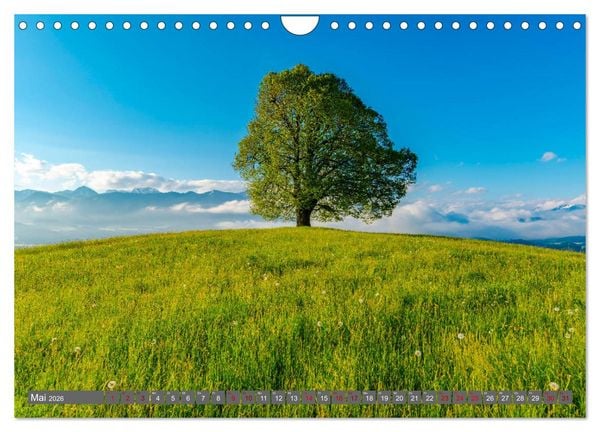 Produktbild: Faszination Oberallg&auml;u (Wandkalender 2026 DIN A4 quer), CALVENDO Monatskalender