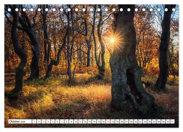 Produktbild: Sonnige Augenblicke (Tischkalender 2026 DIN A5 quer), CALVENDO Monatskalender