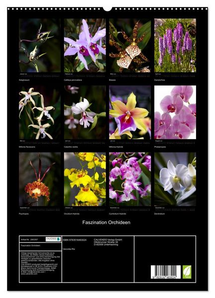 Produktbild: Faszination Orchideen (hochwertiger Premium Wandkalender 2026 DIN A2 hoch), Kunstdruck in Hochglanz