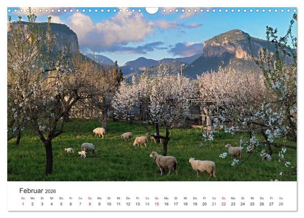 Produktbild: Mallorca - auf in den Urlaub (Wandkalender 2026 DIN A3 quer), CALVENDO Monatskalender