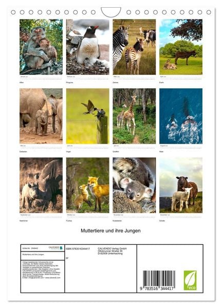 Produktbild: Muttertiere und ihre Jungen (Wandkalender 2026 DIN A4 hoch), CALVENDO Monatskalender