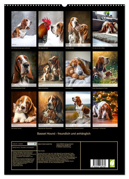 Produktbild: Basset Hound - freundlich und anh&auml;nglich (hochwertiger Premium Wandkalender 2026 DIN A2 hoch), Kunstdruck in Hochglanz