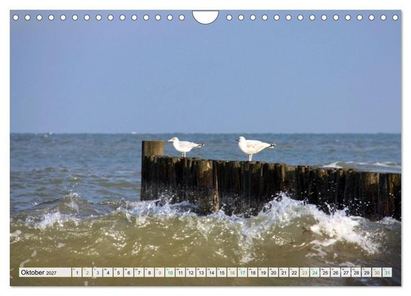 Produktbild: Gl&uuml;cksmomente am Meer - Sehnsuchtsorte deutscher K&uuml;stenlandschaften (Wandkalender 2027 DIN A4 quer), CALVENDO Monatskalender