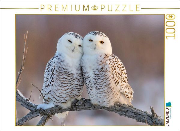 Produktbild: CALVENDO Puzzle Ein Motiv aus dem Kalender Waldgefl&uuml;ster | 1000 Teile Lege-Gr&ouml;&szlig;e 64x48cm Foto-Puzzle f&uuml;r gl&uuml;ckliche Stunden