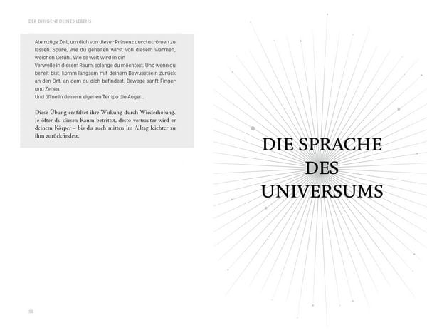 Produktbild: Radikal intuitiv & maximal authentisch