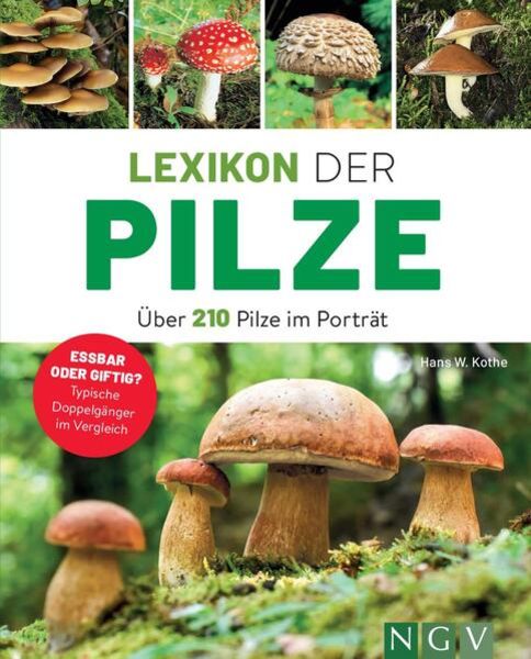 Lexikon der Pilze - Über 210 Pilze im Porträt, Taschenbuch von Hans W. Kothe, Naumann & Göbel, 978-3-625-19109-4
