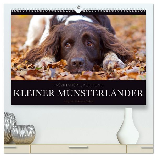 Produktbild: Faszination Jagdhund - Kleiner M&uuml;nsterl&auml;nder (hochwertiger Premium Wandkalender 2026 DIN A2 quer), Kunstdruck in Hochglanz