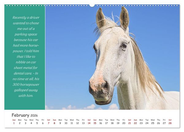 Produktbild: Animals like humour (High Quality Premium Wall Calendar 2026 DIN A2 landscape),CALVENDO 12 Month Wall Calendar