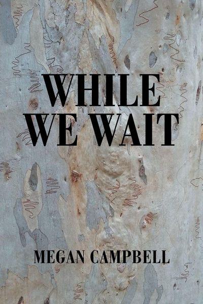 Produktbild: While We Wait