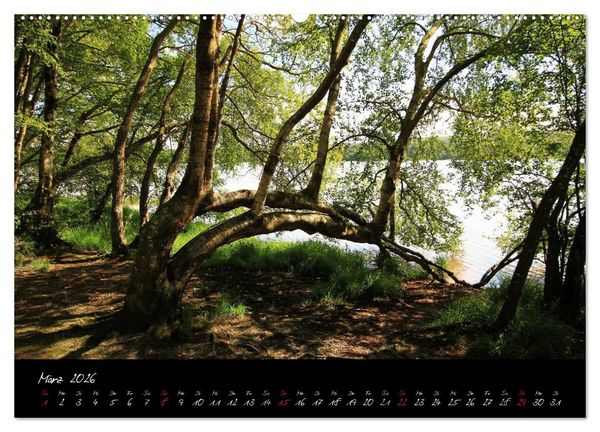 Produktbild: Broc&eacute;liande / Zauberwald der Bretagne (hochwertiger Premium Wandkalender 2026 DIN A2 quer), Kunstdruck in Hochglanz