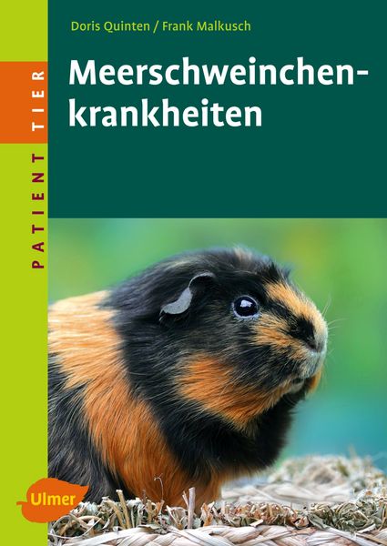 Meerschweinchenkrankheiten, Taschenbuch von Doris Quinten,Frank Malkusch, Verlag Eugen Ulmer, 978-3-8001-5454-8