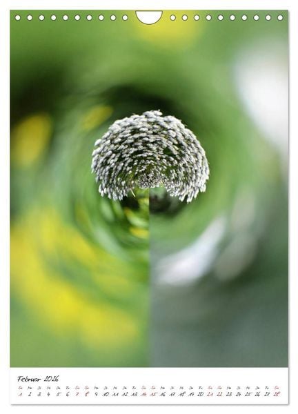 Produktbild: Durchschnittlich - Verzauberte Flora (Wandkalender 2026 DIN A4 hoch), CALVENDO Monatskalender