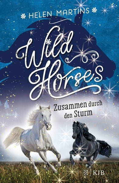 Produktbild: Wild Horses &iquest; Zusammen durch den Sturm