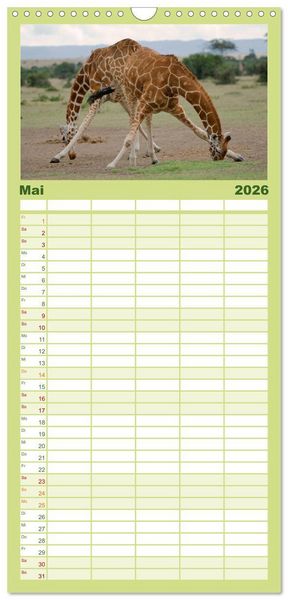 Produktbild: Familienplaner 2026 - Abenteuer Afrika - Im Paradies der Tiere mit 5 Spalten (Wandkalender, 21 x 45 cm) CALVENDO