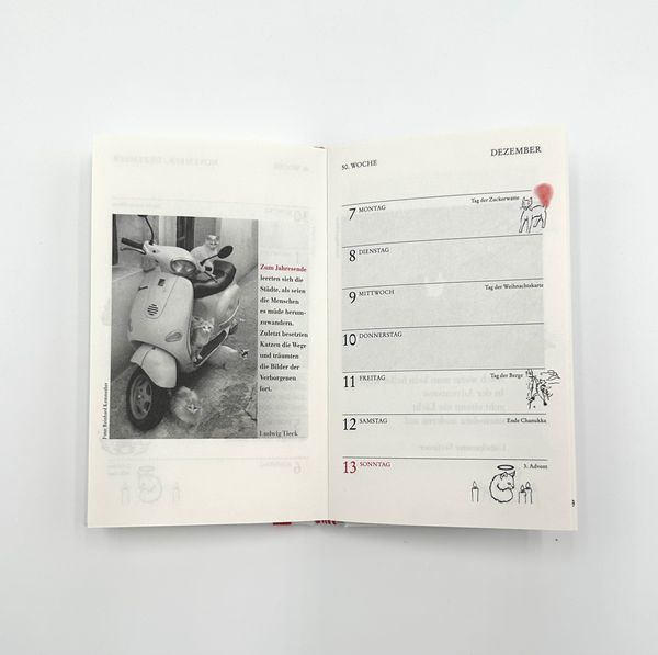 Produktbild: Katzen Taschenkalender 2026