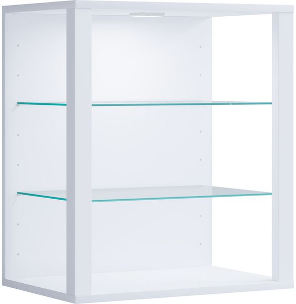 Holz Glas Stand Vitrine Sammelvitrine Glasol SW