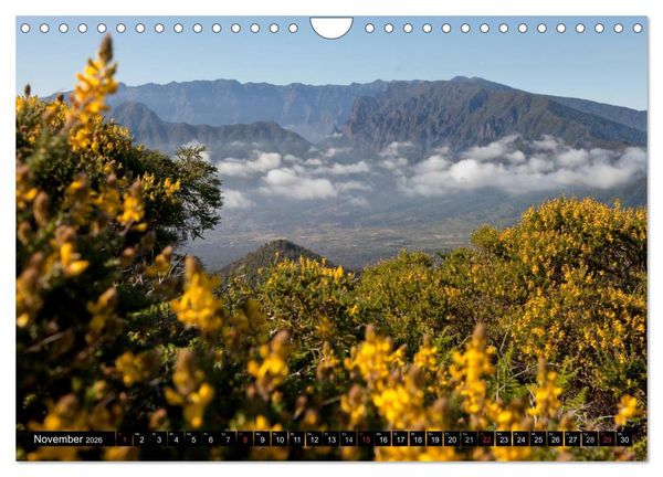 Produktbild: San Miguel de la Palma (Wandkalender 2026 DIN A4 quer), CALVENDO Monatskalender