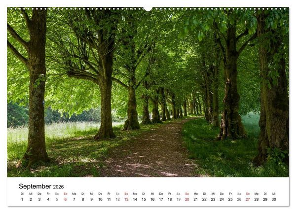 Produktbild: Wege durchs neue Jahr (hochwertiger Premium Wandkalender 2026 DIN A2 quer), Kunstdruck in Hochglanz