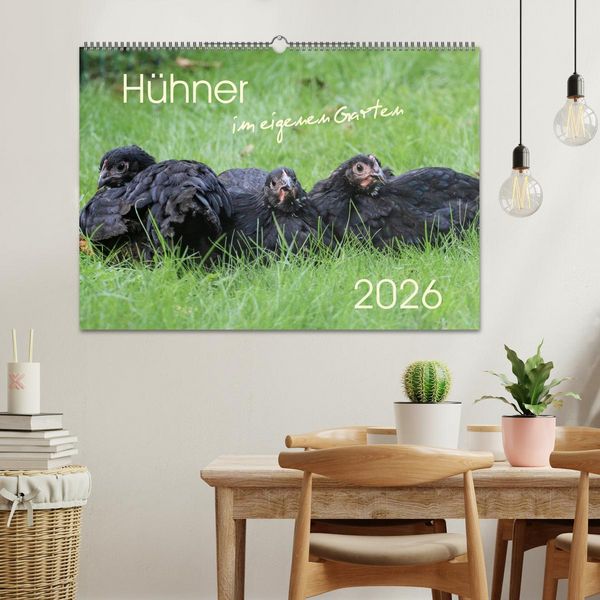 Produktbild: H&uuml;hner im eigenen Garten (Wandkalender 2026 DIN A2 quer), CALVENDO Monatskalender