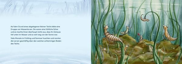 Produktbild: Von Larven und Libellen. Bilderbuch