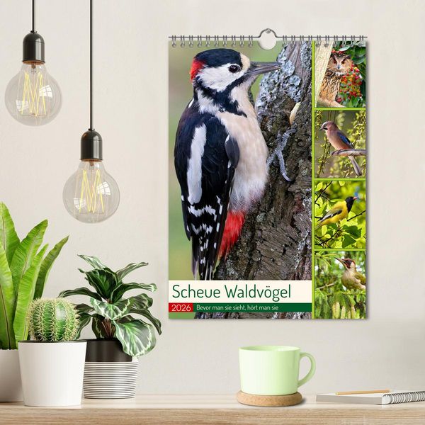 Produktbild: Scheue Waldv&ouml;gel (Wandkalender 2026 DIN A4 hoch), CALVENDO Monatskalender
