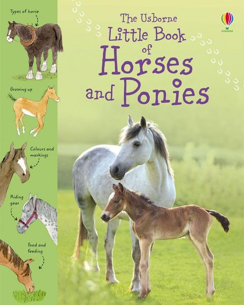 Produktbild: Little Book of Horses and Ponies