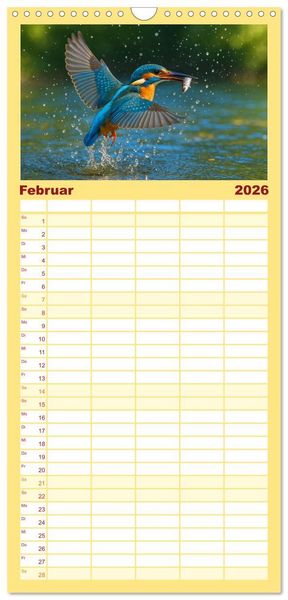 Produktbild: Familienplaner 2026 - Eisvogeltr&auml;ume am Wasser mit 5 Spalten (Wandkalender, 21 x 45 cm) CALVENDO