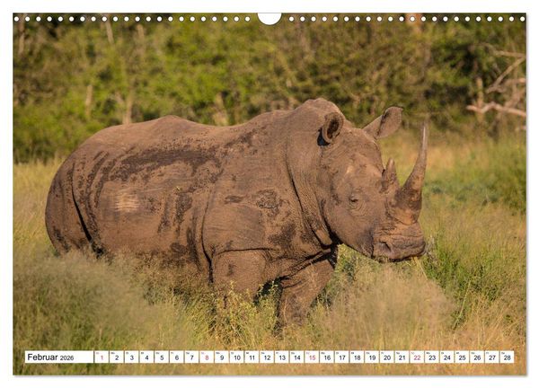 Produktbild: Wunderwelt der Tiere - S&uuml;dafrika (Wandkalender 2026 DIN A3 quer), CALVENDO Monatskalender