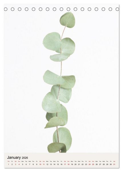 Produktbild: Dried Flowers (Desk Calendar 2026 DIN A5 portrait), CALVENDO 12 Month DeskCalendar