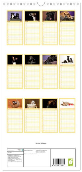 Produktbild: Familienplaner 2026 - Bunte Pfoten mit 5 Spalten (Wandkalender, 21 x 45 cm) CALVENDO