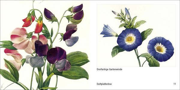 Produktbild: Historische Blumenbilder &ndash; Book To Go