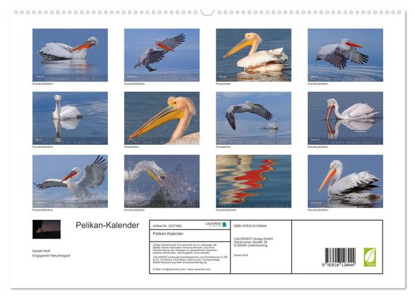 Produktbild: Pelikan-Kalender (hochwertiger Premium Wandkalender 2026 DIN A2 quer), Kunstdruck in Hochglanz