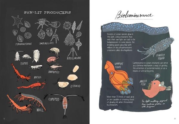 Produktbild: Ocean Anatomy