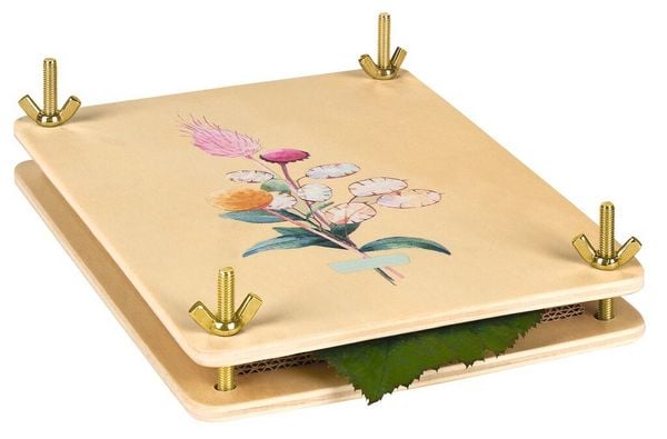 Produktbild: Blatt & Bl&uuml;te Blatt- und Bl&uuml;tenpresse