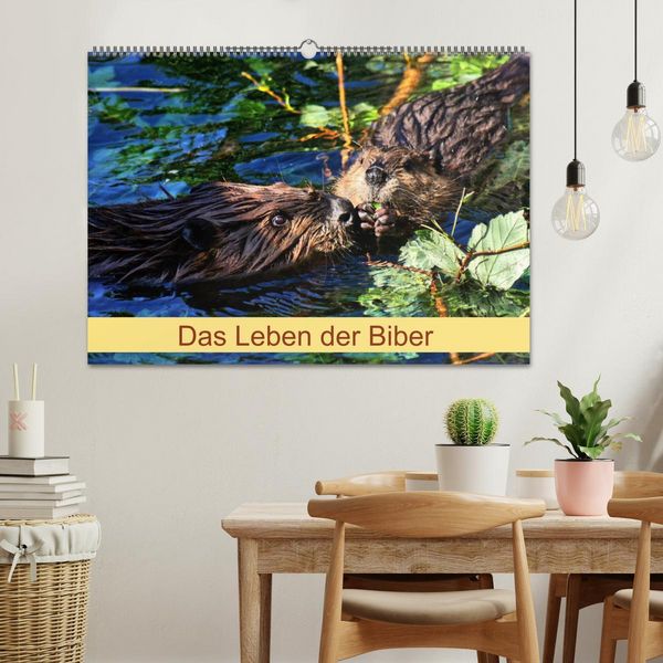 Produktbild: Das Leben der Biber (Wandkalender 2026 DIN A2 quer), CALVENDO Monatskalender