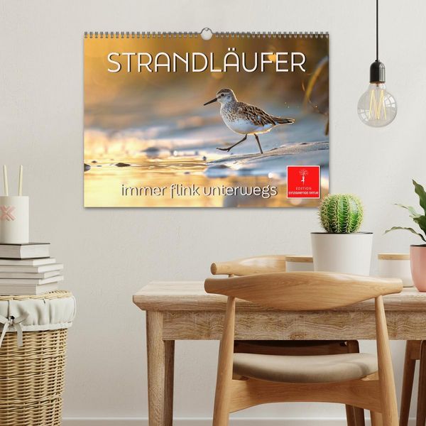 Produktbild: Strandl&auml;ufer - immer flink unterwegs (Wandkalender 2026 DIN A3 quer), CALVENDO Monatskalender
