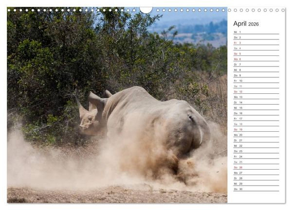 Produktbild: Emotionale Momente: Nash&ouml;rner (Wandkalender 2026 DIN A3 quer), CALVENDO Monatskalender