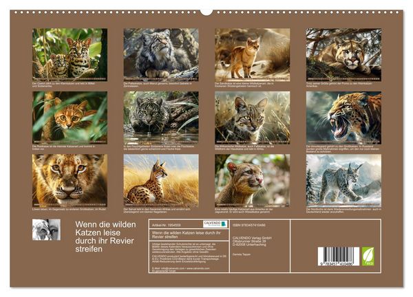 Produktbild: Wenn die wilden Katzen leise durch ihr Revier streifen (hochwertiger Premium Wandkalender 2026 DIN A2 quer), Kunstdruck in Hochglanz